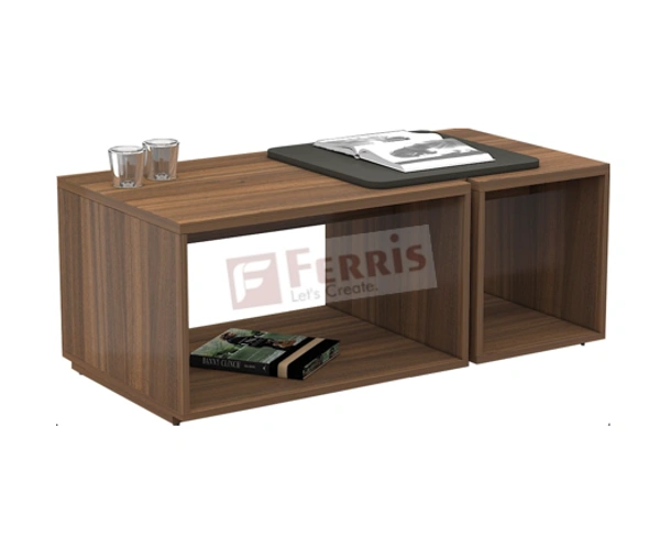 Ferris CENTRE TABLE F-CT-002 - Teak,Black,, 1200x600x450 MM.