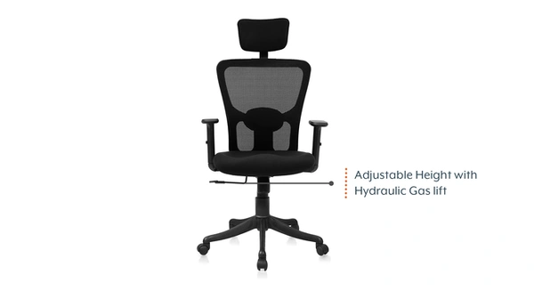 Ferris EXECUTIVE CHAIR FEC 310 HB