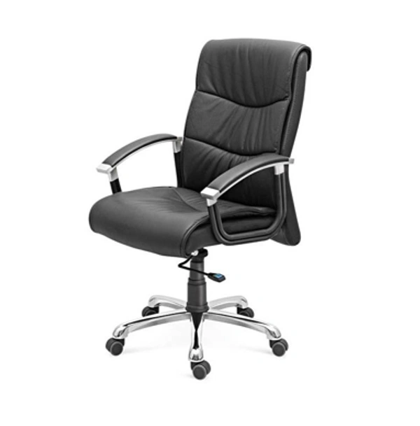 Ferris DIRECTOR CHAIR FDC 111 MB