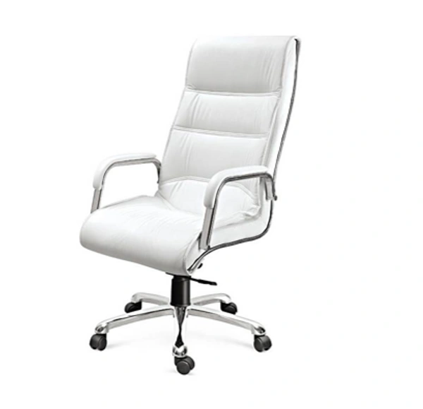 Ferris DIRECTOR CHAIR FDC 115 HB