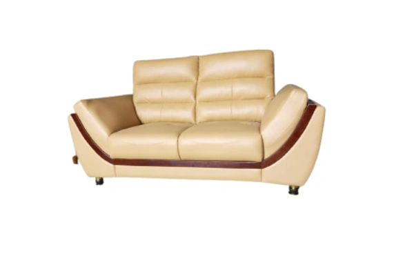 Ferris SOFA FHS  803 ELTON - Leatherette, 02 Seater