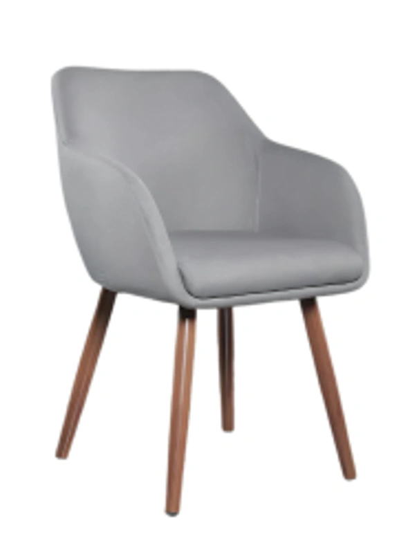 Ferris FINE DING CHAIR FHDR-C-009 - STANDARD SIZE, FERRIS SHADE CARD