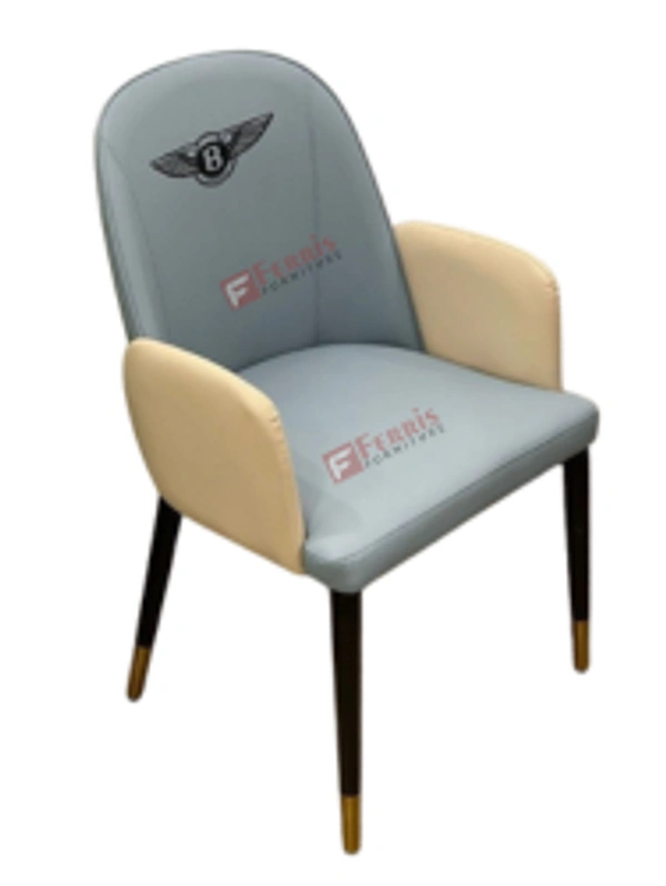 Ferris FINE DING CHAIR FHDR-C-015 - STANDARD SIZE, FERRIS SHADE CARD