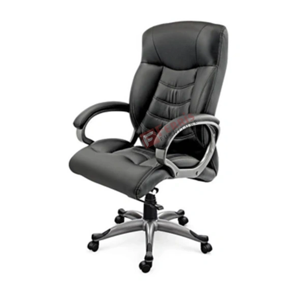 Ferris DIRECTOR CHAIR FDC 116 HB