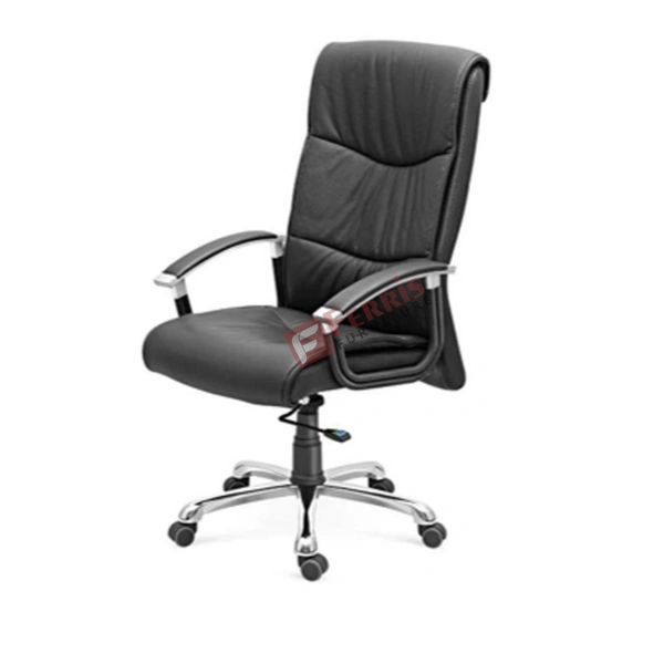 Ferris DIRECTOR CHAIR FDC 111 HB