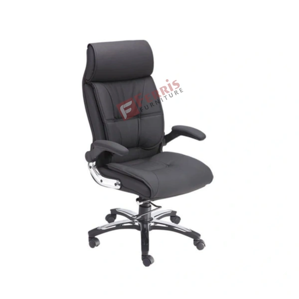 Ferris DIRECTOR CHAIR FDC 105 HB
