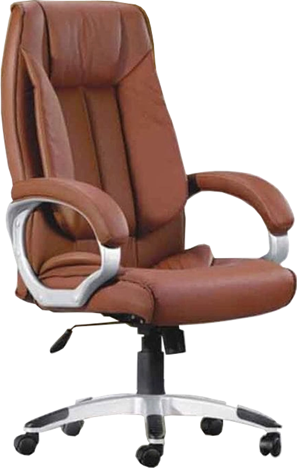 Ferris DIRECTOR CHAIR FDC 101 HB
