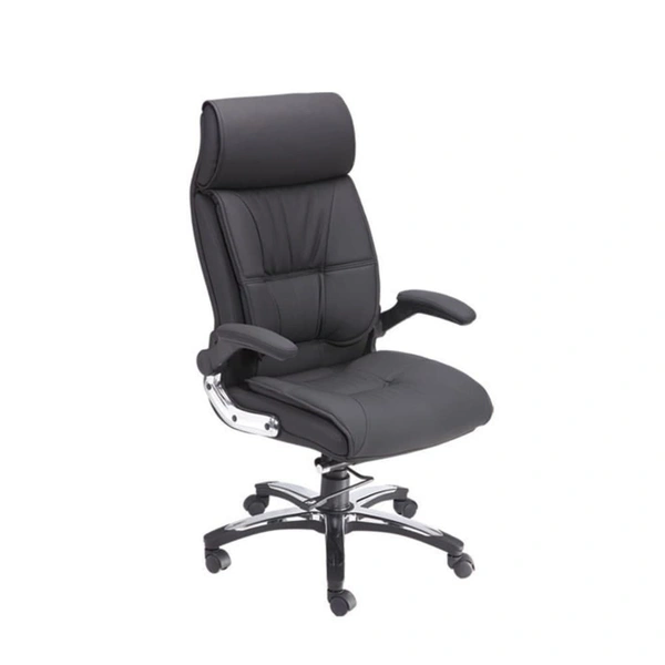 Ferris DIRECTOR CHAIR FDC 105 HB