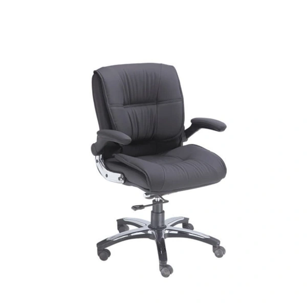 Ferris DIRECTOR CHAIR FDC 105 MB