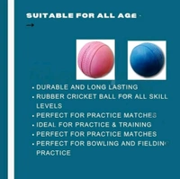 Rubber Cricket Ball (Standard Size) Pack Of 10 