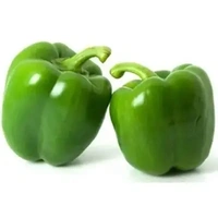 Capsicum (ক্যাপসিকাম) - 1 pack = 250 gram