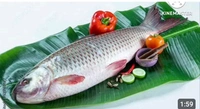 রুই মাছ (Big Size) - 1 প্যাকেট = 500 গ্রাম
