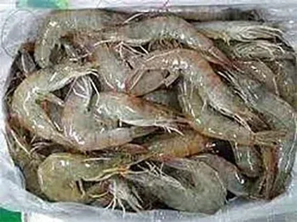 চিংড়ি (Little Shrimp) - 1প্যাকেট = 250 গ্রাম