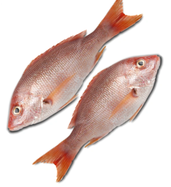 Vola Fish (ভোলা মাছ) - 1 প্যাকেট = 500 গ্রাম