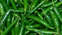 কাঁচা লঙ্কা (Green Chilly) - 1 প্যাকেট = 250 গ্রাম