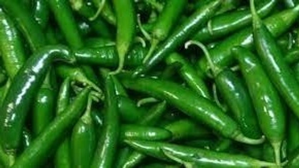 কাঁচা লঙ্কা (Green Chilly) - 1 প্যাকেট = 250 গ্রাম