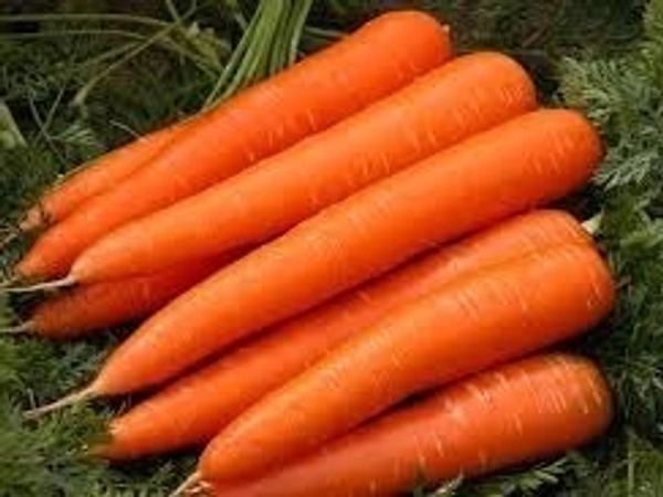 গাজর (Carrot) - ১ পাকেট = 500g