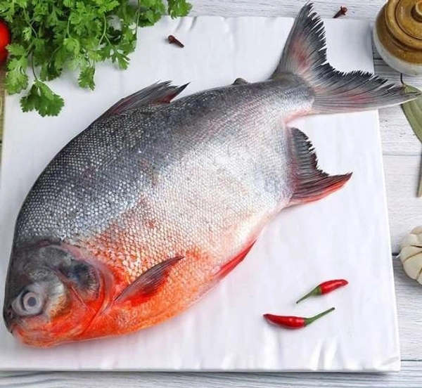 রূপচাঁদা মাছ  - 1 প্যাকেট = 500 গ্রাম
