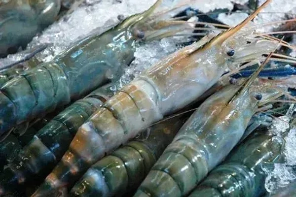মোচা চিংড়ি (Prawn) - 1 প্যাকেট = 250 গ্রাম