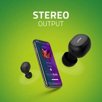 BE810M TWS Earbuds - Black, Small