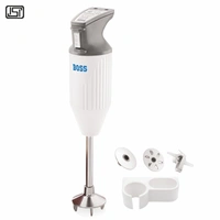 BOSS Portable BlenderB101 - Multi, Medium