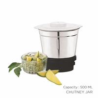 BOSS Flora Deluxe Mixer GrinderB243 - Silver & Black, Medium