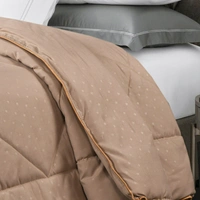 StarGaze Home Decore Shop - Comforters - StarGaze - Golden Sunrise - 120 GSM - Single Bed - Single Bed