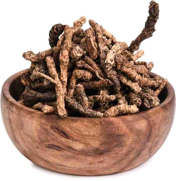 Kutki