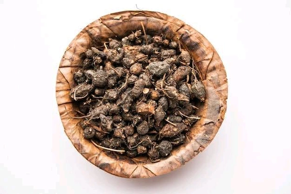 Nagarmotha 