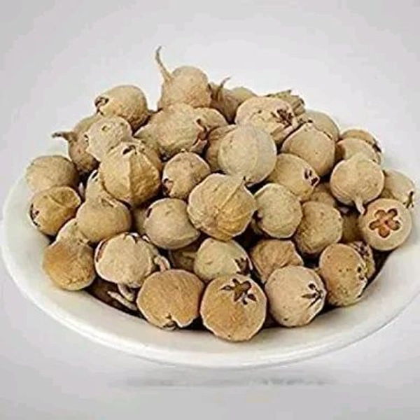Paneer Phool/Paneer Doda