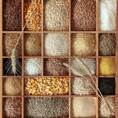ANAJ (GRAINS & PULSES)