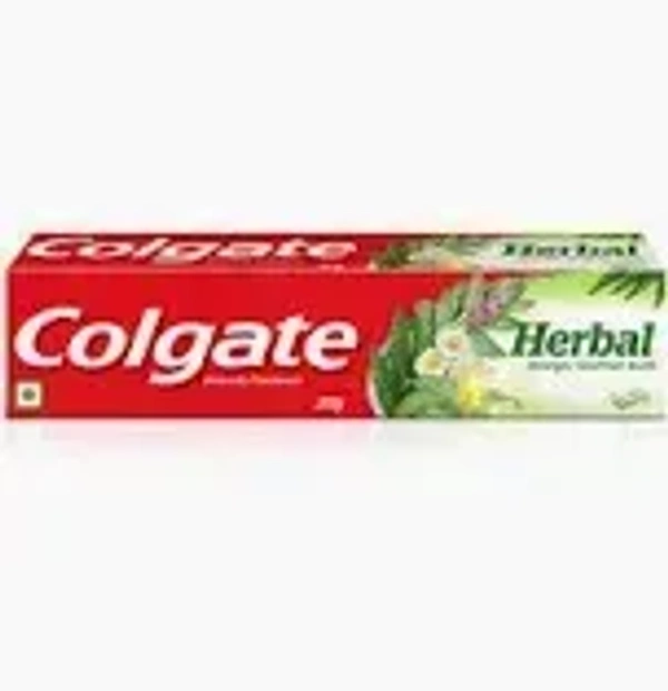 Colgate Herbal 100G