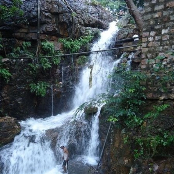 TIRUMALA SIGHTSEEING - TIRUMALA DROP-ONE DAY PACKAGE