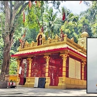 TIRUMALA SIGHTSEEING - TIRUMALA DROP-ONE DAY PACKAGE