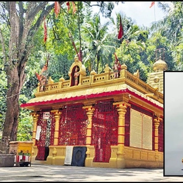 TIRUMALA SIGHTSEEING - TIRUMALA DROP-ONE DAY PACKAGE
