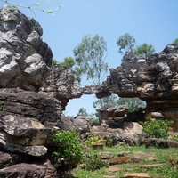 TIRUMALA SIGHTSEEING - TIRUMALA DROP-ONE DAY PACKAGE