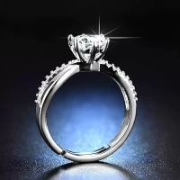 Stainless Steel Ring - Adjustable, Silver