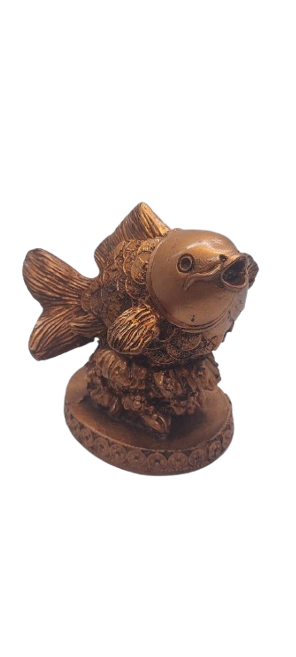 MOI Dolphin