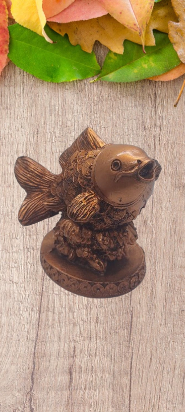 MOI Dolphin