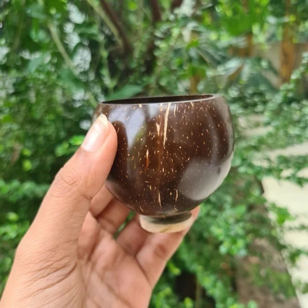 Short/Wine Glass - Coconut Shell Eco-friendly Shot/Wine Glass - Set of 2