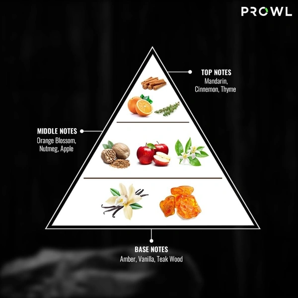 Prowl Pure Deo 200 ml