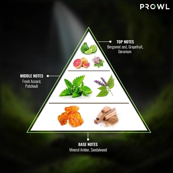 Prowl Fresh Deo 200 ml