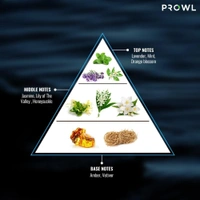Prowl Aqua Deo 200 ml