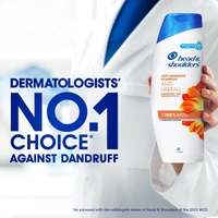 Head And Shoulders Anti Dandruff Anti Hair Fall Shampoo 360 ml