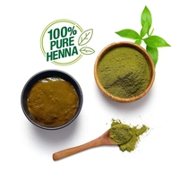 Nupur Hair Mehendi 120 g