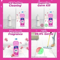 Lizol Shakti Rose Fresh Floor Cleaner 900 ml