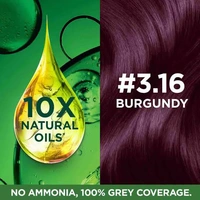 Garnier Color Naturals Hair Colour Burgundy Shade No 3.16, 70 ml + 60 g