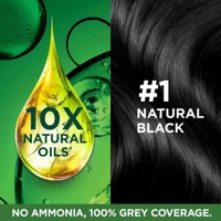 Garnier Color Naturals Hair Colour Natural Black Shade No 1, 70 ml + 60 g