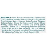 Himalaya Anti Dandruff Cool Mint Shampoo 340 ml