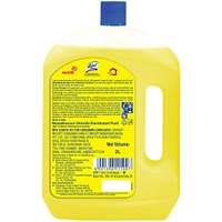 Lizol Citrus Disinfectant Floor Cleaner 2 L